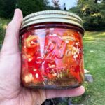 Stefano Faita Instagram - Vous me l’avez demandée, la voici 👉 la fameuse recette de piments marinés de mon ami Jo! On la fait chaque année pour remplir notre cantina et en avoir sous la main quand on en a besoin. Pensez oeufs, pizza, sandwichs, poisson… C’est tellement bon! Cliquez sur le lien dans la bio pour la recette 🔗 - Sharing my good friend Jo’s pickled hot pepper recipe with you! We make them every year to fill up our cantina so we have some on hand to put on fish, eggs, pizza, in sandwiches etc… Ever made your own preserves? Click on the link in bio for the recipe 🔗