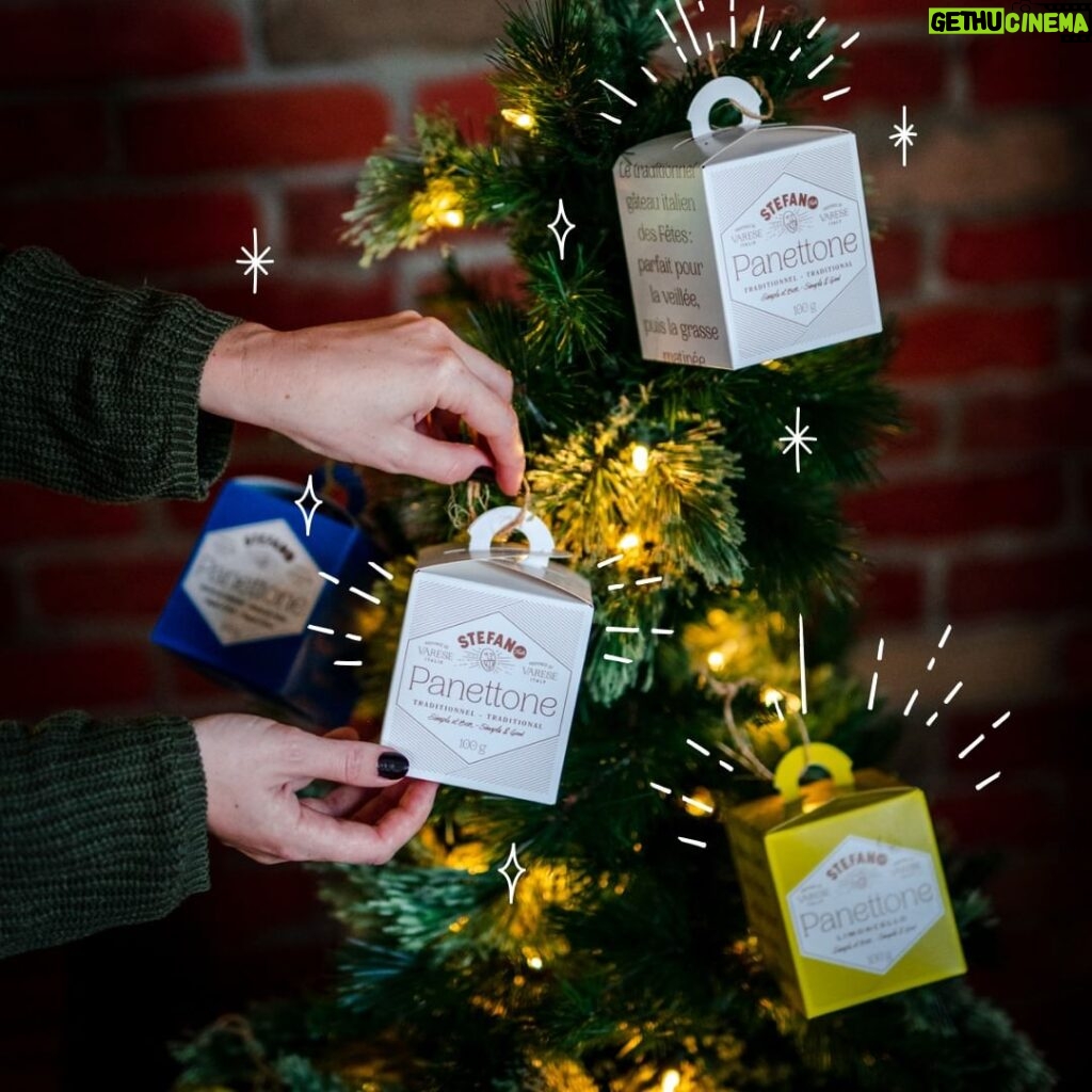 Stefano Faita Instagram - 🎄Le sapin de Noël italien est un arbre qui donne ses fruits tout au long de la période des Fêtes! Biscuits maison ou mini panettones, gageons que les petits cueilleurs seront au rendez-vous cette année! 🎄The Italian Christmas tree is a tree that bears fruit throughout the holiday season! Homemade cookies or mini panettone, we’re sure the little gatherers will be out in force this year! #christmastree #christmasdecorations #panettone #stefanofaita