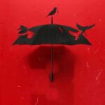 Steve Blackman Instagram - Umbrella + Sparrows = Wild Season 3!!! @umbrellaacad @thesparrowacad_ @bosslogic