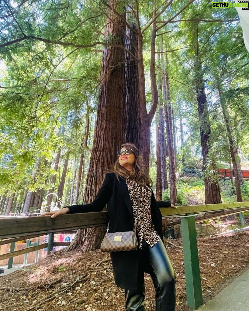 Sugandha Mishra Instagram - In love with the beauty of #california 🇺🇸💚 . . #usa #forest #beautifuldestinations #love #travel #omg Winchester Mystery House in San Jose!!