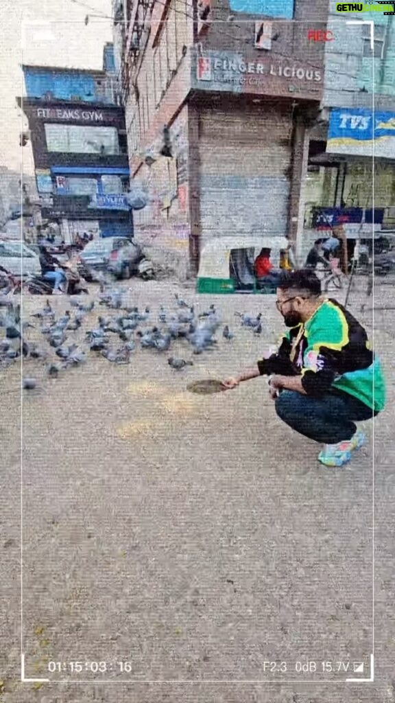 Sunny Arya Instagram - पक्षियों का भी ध्यान रखा करे ❤️ #reelitfeelit #reel #reelindia #reelitfeelit❤️❤️ #reelindia❤️❤️ #reelfeelit #tehelkabhai