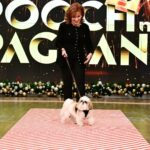 Sunny Hostin Instagram - Congrats to @Sunny's pups Harlow and Finn who won #TheView's first ever pooch pageant! Tap our link in bio to hear Sunny discuss her big win on our #BehindTheTable podcast!