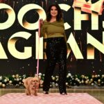 Sunny Hostin Instagram - Congrats to @Sunny's pups Harlow and Finn who won #TheView's first ever pooch pageant! Tap our link in bio to hear Sunny discuss her big win on our #BehindTheTable podcast!