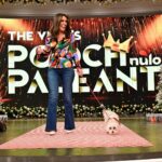 Sunny Hostin Instagram - Congrats to @Sunny's pups Harlow and Finn who won #TheView's first ever pooch pageant! Tap our link in bio to hear Sunny discuss her big win on our #BehindTheTable podcast!