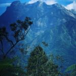 Susan Carland Instagram - Borneo is stunning! I’m here for work, and it’s beautiful, hot, and rainy (guess that’s where the “rain” in rainforest comes from). And if any of my @monash.arts Bachelor of Global Studies students follow me: if you’re doing 2nd or 3rd year next year, you can do LFSC3 with me here as an intensive in June/July! It’s going to be ace (and hot. Really hot). A hint about the topic we’ll be focusing on is in one of the pics 🙃 @monash_uni