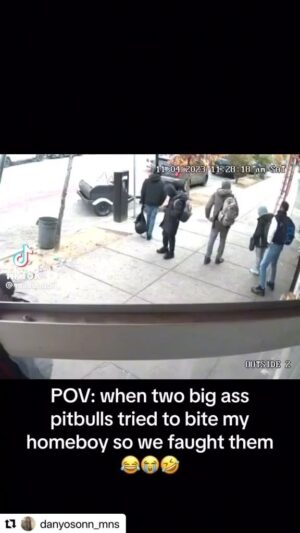 Tacarra Williams Instagram - 🤣🤣🥹THIS HAS TO BE IN NEWYORK😂😂😂😂😂😂