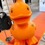 Takashi Sakurai Instagram - SAVE THE DUCK @savetheduck_jp のポップアップストアが大丸東京店（1F）にオープン イタリアからやってきた割とデカめのオレンジ色のアヒルが待ってます ※写真は現場で考案したアヒルを守ろうとするポーズです 2023年10月4日〜2024年3月31日迄やっているそうです リアルダウンの代わりに独自開発した高性能素材「PLUMTECH®（プラムテック®）」を中綿として使用していて、想像を遥かに超える軽さと温かさです！ ぜひ行ってみて試着してみてね！ #PR #savetheduck #セーブザダック #🪿 大丸東京店 Daimaru Tokyo