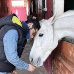 Tansel Öngel Instagram - Sezar’ın hakkı Sezar’a Canım Sezar 🤍