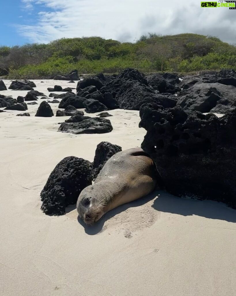 Taylor Hill Instagram - Let’s Galapa-GO 🤗 Galapagos Islands