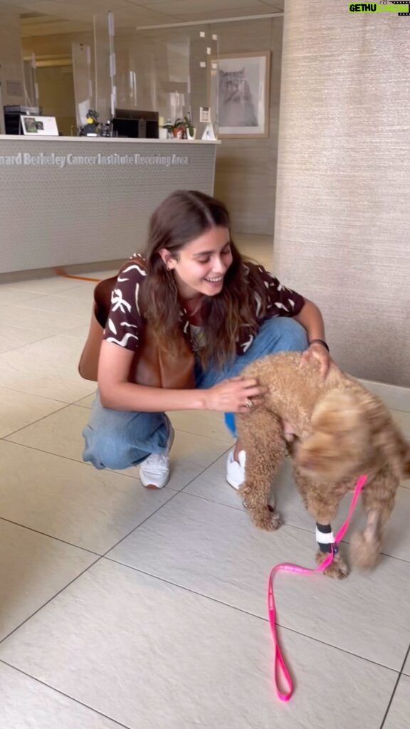 Taylor Hill Instagram - From our visit today. Tate was so happy and excited to see me it made me so happy to see him finally. It was killing me not being able to be with him. And it’s so hard seeing him this sick. Dogs are such beautiful amazing creatures and this little soul has been the biggest blessing in my life. I will cherish every moment I have left with him. To anyone who has gone through this before, I see you and you’re not alone. And thank you all for always being there for me.