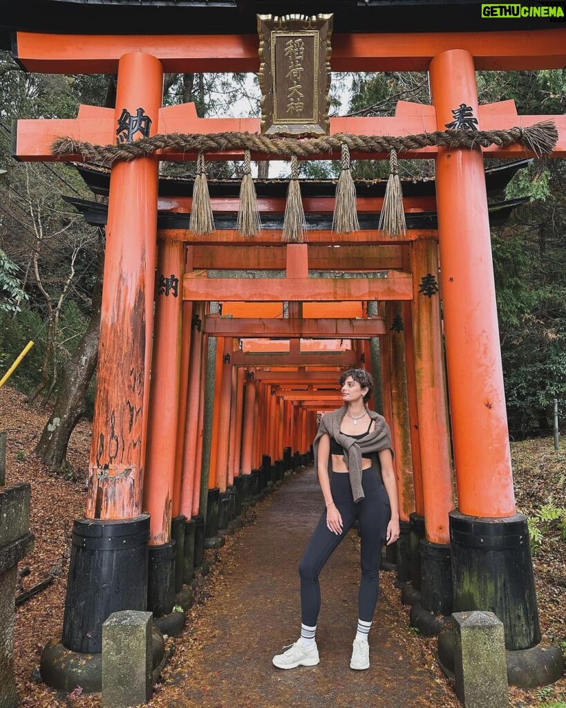 Taylor Hill Instagram - 🍯🌙 pt 6 Kyoto, Japan