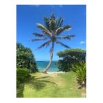 Tom Austen Instagram - Pt. 2 Hawaii