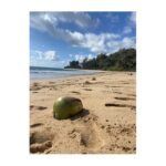 Tom Austen Instagram - Hawaii Pt 1