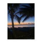Tom Austen Instagram - Hawaii Pt 1