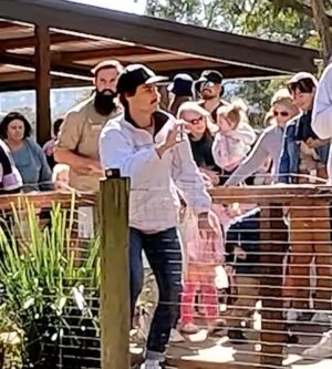 Tommy Little Instagram - I nearly passed out from heat exhaustion dressed as a bear for @carrietommyshow. But it was all worth it because it was captured for 11 seconds before producer @sammcginn knocked over the main GoPro that was filming the enclosure (swipe to see) 😂😂😂