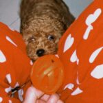 Uditi Singh Instagram - Life lately