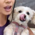 Vanessa Hudgens Instagram - Cute sweats and allergy shots