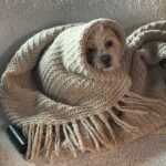 Vanessa Hudgens Instagram - My little babushka 🥰