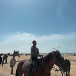 Vera Kolodzig Instagram - Dia 13: Conhecida como a “Cidade Ventosa de África”, Essaouira atrai muitos kitesurfers durante o ano inteiro, no entanto há muito mais do que o areal a perder de vista, ou o cenário do Game of Thrones. O sultão Mohammed Ben Abdallah instalou-se aqui no século XVIII e contratou um arquitecto francês para desenhar uma cidade no meio do vento e da areia onde nada existia antes. Originalmente chamada de Mogador, o sultão mudou o nome para Essaouira que significa “bem desenhado”, com a sua mistura única de estilo marroquino e europeu. Chegámos ontem à noite, já com mesa marcada num restaurante sugerido por um amigo, onde reencontrámos a amiga que fizemos em Tarifa na noite antes de iniciarmos a viagem. Acabámos num nightclub onde uma troca de olhares nos levou a conhecer os melhores guias que podíamos desejar. A manhã de hoje foi na praia, com um mergulho salgado para lavar a alma. Surgiu então a possibilidade de ir à lota comprar o marisco mais fresco que alguma vez vi. Ao passar o arco do kasbah parecia todo um novo mundo, com as embarcações já atracadas e dezenas de pessoas a vender o que pescaram de manhã, enquanto as crianças se atiravam dos muros da fortaleza para o mar. Foi neste momento que decidi que se há locais para abrir excepções à minha habitual dieta, este é um deles, ainda assim mantendo os meus princípios - saúde e sustentabilidade. Duas lagostas, um caranguejo, camarões e uma conserva caseira, por 500dhr negociados pelos nossos amigos marroquinos. Depois levaram-nos pelo labirinto da medina até um terraço onde apenas famílias locais se deliciavam. Entregámos as nossas compras, e uma hora depois tínhamos uma mesa repleta das mais incríveis iguarias, por mais 60dhr - o custo do “aluguer” de um espacinho na grelha. Uma experiência que ficará para sempre nas nossas memórias e nos nossos corações, já com uma pequena nostalgia de uma despedida para breve. Amanhã começamos a subir, de barriga cheia e inshallah sem caganeira! . . . #roadtrip #morocco #essaouira #localexperience #instatravel #seafood Essaouira - Mogador - الصويرة