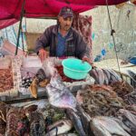 Vera Kolodzig Instagram - Dia 13: Conhecida como a “Cidade Ventosa de África”, Essaouira atrai muitos kitesurfers durante o ano inteiro, no entanto há muito mais do que o areal a perder de vista, ou o cenário do Game of Thrones. O sultão Mohammed Ben Abdallah instalou-se aqui no século XVIII e contratou um arquitecto francês para desenhar uma cidade no meio do vento e da areia onde nada existia antes. Originalmente chamada de Mogador, o sultão mudou o nome para Essaouira que significa “bem desenhado”, com a sua mistura única de estilo marroquino e europeu. Chegámos ontem à noite, já com mesa marcada num restaurante sugerido por um amigo, onde reencontrámos a amiga que fizemos em Tarifa na noite antes de iniciarmos a viagem. Acabámos num nightclub onde uma troca de olhares nos levou a conhecer os melhores guias que podíamos desejar. A manhã de hoje foi na praia, com um mergulho salgado para lavar a alma. Surgiu então a possibilidade de ir à lota comprar o marisco mais fresco que alguma vez vi. Ao passar o arco do kasbah parecia todo um novo mundo, com as embarcações já atracadas e dezenas de pessoas a vender o que pescaram de manhã, enquanto as crianças se atiravam dos muros da fortaleza para o mar. Foi neste momento que decidi que se há locais para abrir excepções à minha habitual dieta, este é um deles, ainda assim mantendo os meus princípios - saúde e sustentabilidade. Duas lagostas, um caranguejo, camarões e uma conserva caseira, por 500dhr negociados pelos nossos amigos marroquinos. Depois levaram-nos pelo labirinto da medina até um terraço onde apenas famílias locais se deliciavam. Entregámos as nossas compras, e uma hora depois tínhamos uma mesa repleta das mais incríveis iguarias, por mais 60dhr - o custo do “aluguer” de um espacinho na grelha. Uma experiência que ficará para sempre nas nossas memórias e nos nossos corações, já com uma pequena nostalgia de uma despedida para breve. Amanhã começamos a subir, de barriga cheia e inshallah sem caganeira! . . . #roadtrip #morocco #essaouira #localexperience #instatravel #seafood Essaouira - Mogador - الصويرة