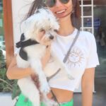 Victoria Justice Instagram - Pampered my sweet Sammy at @puparazzi_losangeles !! Such a fun day. Even though he’s a 14 year old little man, he’ll always be my puppy 🥰🙏🏼