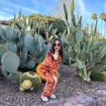 Victoria Justice Instagram - Don’t be a prick, stream my new song #LastManStanding 🌵🫶🏼 Sincerely, Queen Victoria Agave ;)