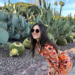 Victoria Justice Instagram - Don’t be a prick, stream my new song #LastManStanding 🌵🫶🏼 Sincerely, Queen Victoria Agave ;)