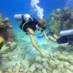 Vincent Michael Webb Instagram - I’m officially a certified scuba diver @scuba_cancun #scubacancun #scubadiver #islamujeres #cancun #underwaterphotography #underwaterworld #cancunlife #beachboy #vincentcancun Cancún México