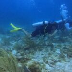 Vincent Michael Webb Instagram - I’m officially a certified scuba diver @scuba_cancun #scubacancun #scubadiver #islamujeres #cancun #underwaterphotography #underwaterworld #cancunlife #beachboy #vincentcancun Cancún México