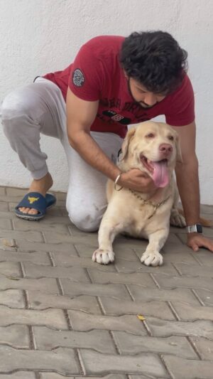 Vishnu Instagram - In a world of humans, life is better with paws and unconditional love 🐕🩶

.

.

.

.

.

.

.

.

.
#bigboss #VishnuVijay #VVonBB7 #VVians #VishnuVijayFans #kamalhaasan #kollywood #actor 
#VishnuVijayForLife  #VVLove #Disneyplushotstartamil #BiggBossTamil #BBT #BB7 #BBTamilSeason7 #பிக்பாஸ் #hero #vishnuvijay #instagram #vishnu #bigboss7 #instagood #viral #trending #instadaily #outfit #ootd #7 #fashion