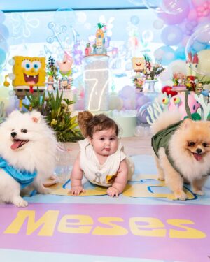 Vitória Moraes Instagram - Minhas vidas 💜 Como é gostoso fazer tudo isso por você nossa pequena! A gente se diverte muito e te ver sorrir é o meu combustível! Bob esponja, patrick, lula molusco, sirigueijo, garry, plâncton e nossa sandy!

Foto: @fabiana_monteiro_fotografia Decoração: @by_dianamota 
Personalizados de luxo: @welovemimos_personalizados 
Bolo e doces: @rabellocaique 
Lembrancinhas: @ateliebyneidebarbosa 
Flores: @lojabeatrizflores 
Painel de Led: @agenciae 
Painéis decorativos: @knartespaineis_ 
Projeto 3D: @dyovana.artista3d 
Iluminação: @casaliluminadoeventos 
Balões: @mixbaloes 
Piscina de bolinhas: @moveisdonafernanda
Esculturas grandes: @lacenografias 
Esculturas de biscuit: @libelula.artesanal