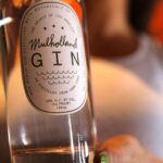 Walton Goggins Instagram - From soup to nuts… or close to it. Good drinks with good friends… Happy international GIN day! @mulholland.spirits @sgwsofnv