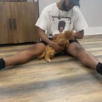 Warren Egypt Franklin Instagram - Happy 1st birthday to my son and literal road dog BRONX 🐾🤍 thx you for keeping my anxiety down, for being the most intrepid and intuitive learner, for being patient with me, and most of all making me the happiest dog dad ever! On Tour :)