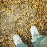 Wayne Song Instagram - 應該要直接在這邊置產的（最好有頭期啦）🎬🍂 Kaohsiung, Taiwan