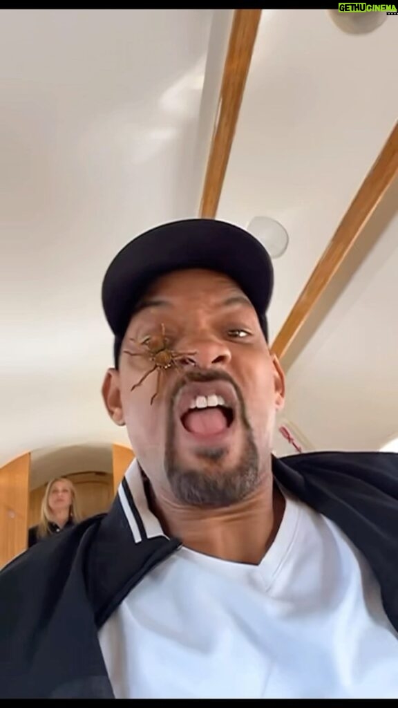 Will Smith Instagram - A spider on a plane? We call that a no fly zone