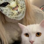Xhemi Shehu Instagram - 🌀🌀 #confusedcat #cat #catlover