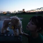 Yūka Murayama Instagram - 9月22日〜9月30日！ 🌈9月中に入会いただける方にはスペシャルギフトが⛅️ ①【💌】 村山優香サイン入りのブロマイドデータ✨ ②【8名様へのスペシャルサプライズ！】 ✨PALLADIUM協賛✨村山優香がインフルエンサー契約をするフランス生まれのブーツブランド👢💕 撮影で使われた着用衣装のお気に入りブーツに、本人のサイン入りでプレゼント🖊✨ 🌟PALLADIUMの大抽選会🌙