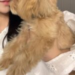 Yūka Murayama Instagram - かまってーかまってー時期