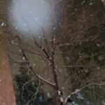 Yao Mi Instagram - 我期待的是雪還有你在的冬天❄️ 聽說一起看初雪的人 會一直一直在一起🥹 但我們住在北京的台北幫 直接破壞這浪漫氣氛啦😶‍🌫️ #請看最後一則影片 #親切感就是這麼直白 迎接完雪花 接下來是聖誕·元旦·新年 還有更好的我們🤍 #2023Yaomi #初雪 北京市 （Beijing, China）
