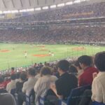 Yuzuru Kawai Instagram - アインシュタイン河井のトークライブ『声、枯れるまで。』お越し頂いた皆さん、ありがとうございました！配信は9月4日まだ延長されてますので、宜しければ是非！！ トーク中に言ってた『広島カープ側の応援席で周りと逆の応援をする、どころかデカイ声で口も悪い』オカンです。お納めください。