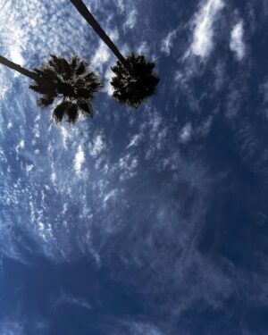 Zach Gilford Instagram - There are days and skies that make me appreciate LA