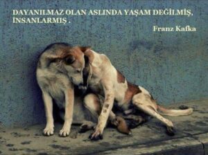 Zafer Algöz Instagram - İstediği bir tas su…1 kuru ekmek…İnsanlığımızdan utandık…