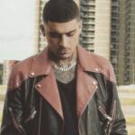 Zayn Malik Instagram -