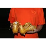 Zinedine Zidane Instagram - I also have one special pair 😁 @adidasfootball