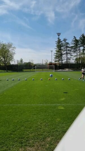 Zlatan Ibrahimović Instagram - I decide when to stop, just like I decide that the yellow ball will hit you