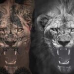 Zlatan Ibrahimović Instagram – Lions don’t compare themselves to humans