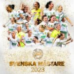 Zlatan Ibrahimović Instagram - Swedish Champion 2023 @hammarbyfotboll