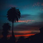 cherry chill will. Instagram - takeher photographed by cherry chill will.