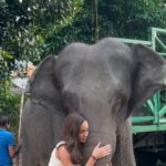 Aché Abrahams Instagram - I spent 2 hours buying fruits and looking for Ganga (this beautiful elephant) through the city just to feed her and give her some love. She stole my heart 🥺. For anyone wondering like I was, the chains were because she’s moved from temple to temple for the religious ceremonies and it’s part of how they transported her. She didn’t have them on the first day I saw her 😔. Even more reason to give her some love