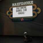 Adam Sandler Instagram - Baltimore! What a great time for the last night of our tour. You gave so much love that I owe you. Laughter and crab cakes. What a wonderful combo. Until next time! See u all sometime soon! @baltimorearena